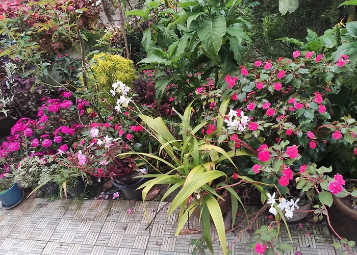 Soly\'S Villa Homestay