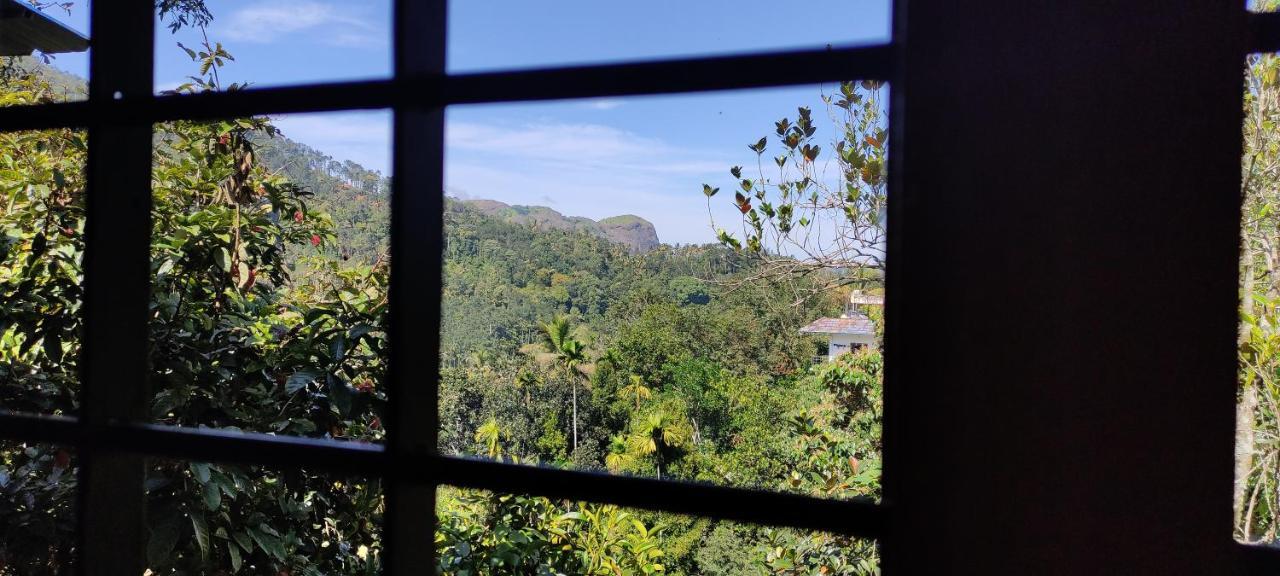 Soly's Munnar