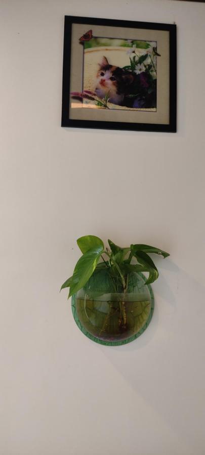 Homestay Soly's Munnar