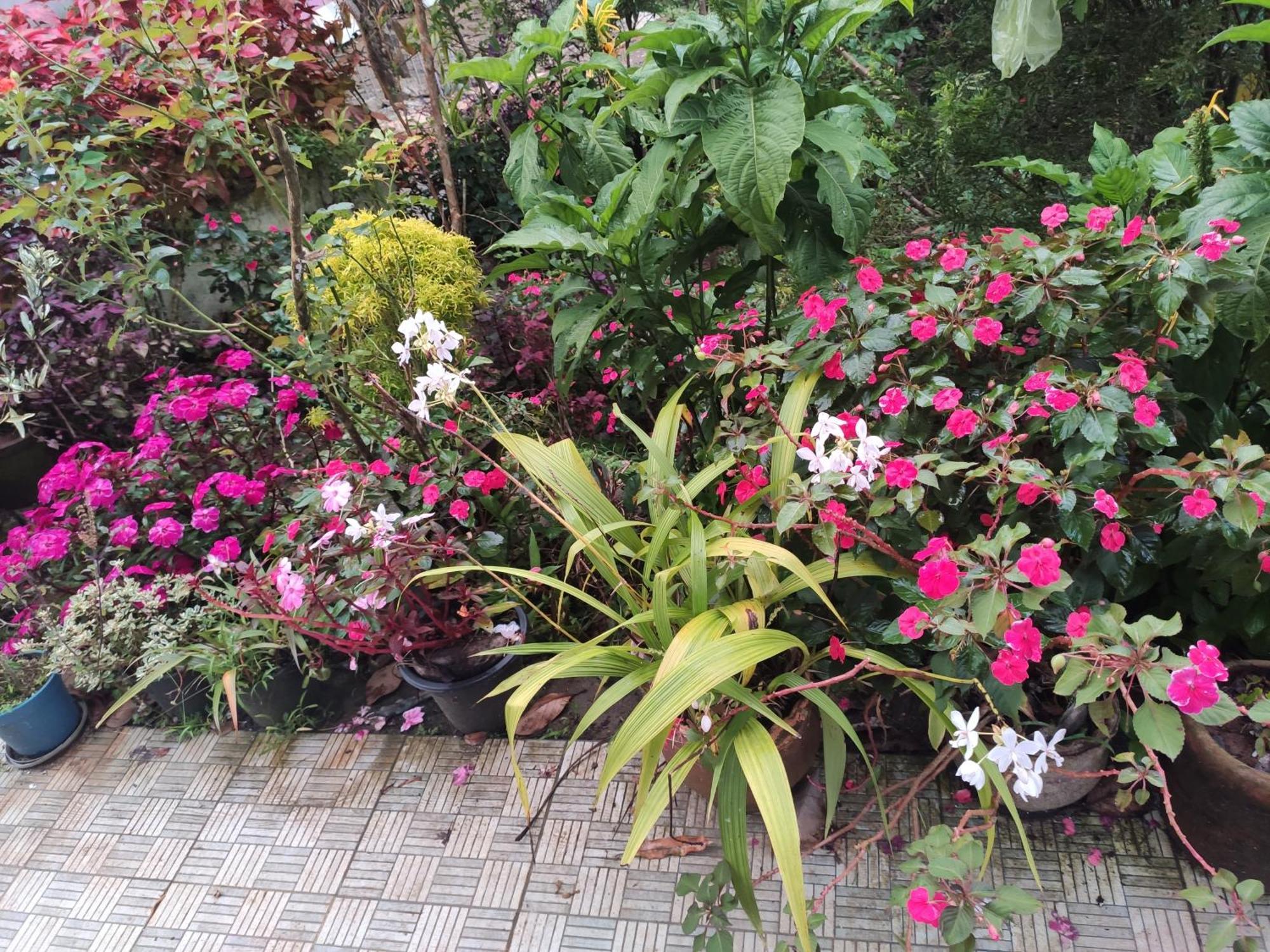 Soly's Homestay Munnar