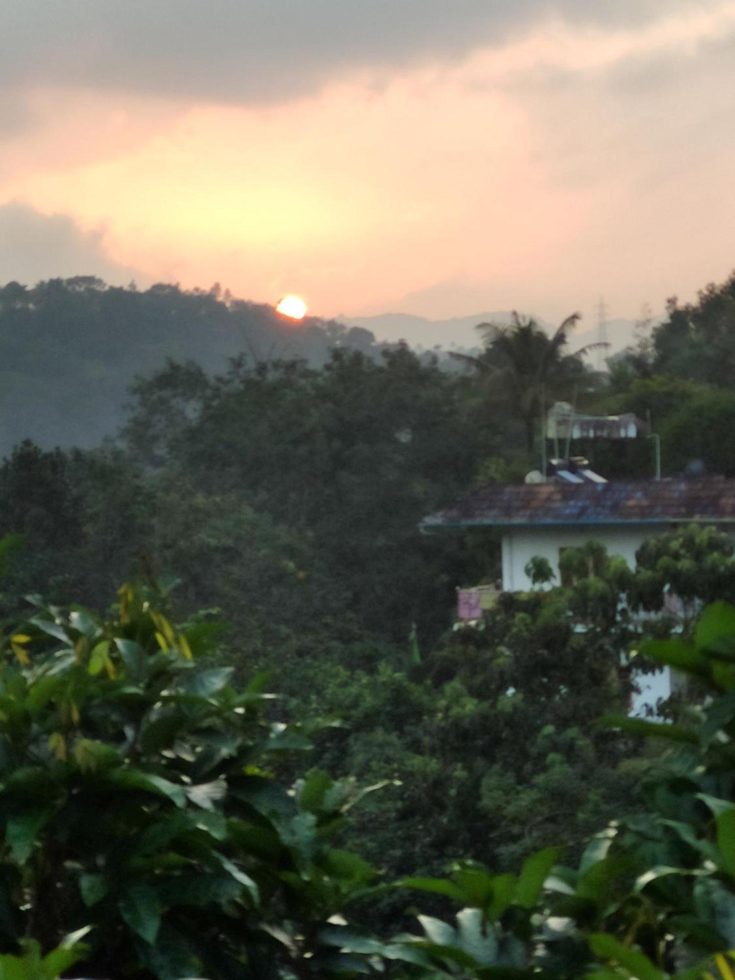 Homestay Soly's Munnar